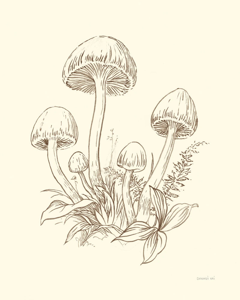 Nature Sketchebook IX Brown by Danhui Nai