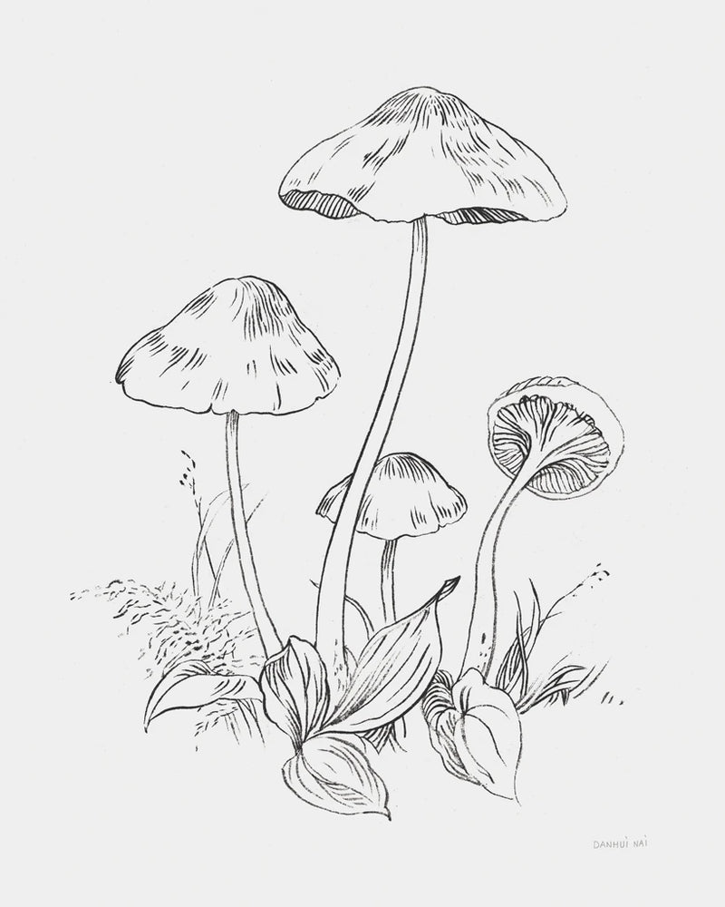 Natures Sketchbook III Bold Light Gray by Danhui Nai