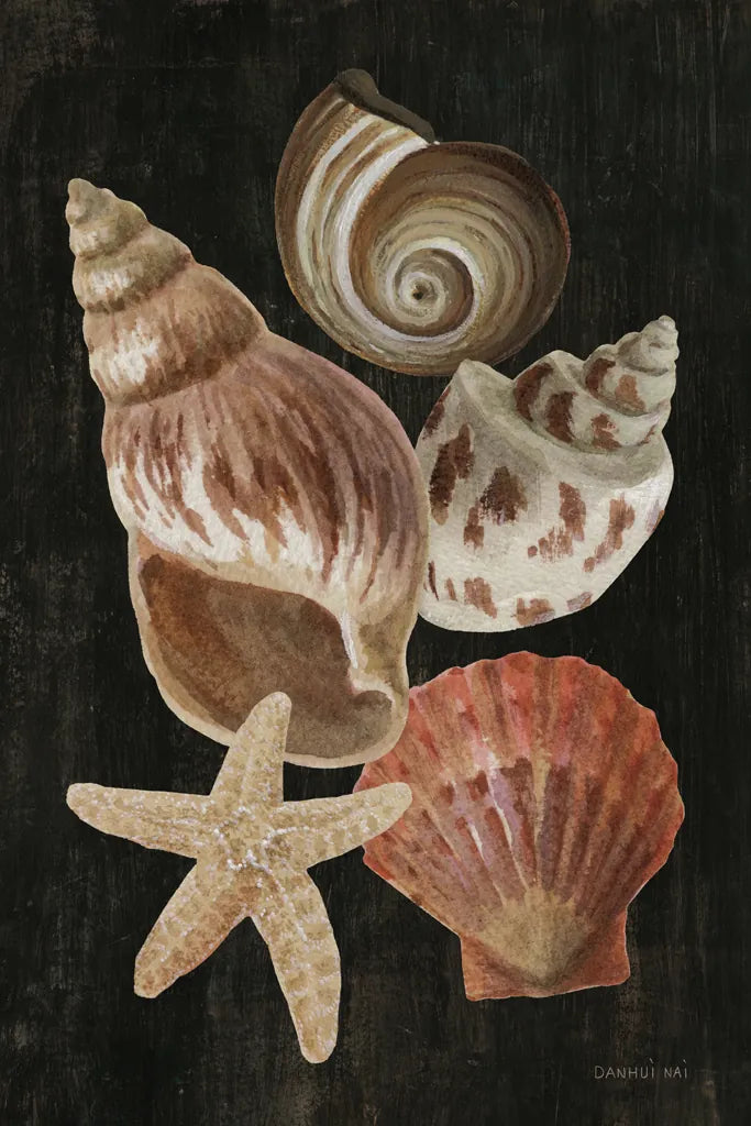 Nautical Shell Toss I by Danhui Nai. SKU 104795h. Archival Giclee Fine art print for wall decor.