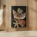 Nautical Shell Toss I by Danhui Nai. shown as over sized large wall art. Available as an archival giclee rolled canvas, fine art paper, or poster print. SKU 104795h.