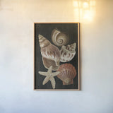 Nautical Shell Toss I by Danhui Nai. shown as a paper print in a natural frame. Available as a archival giclee rolled canvas, fine art paper, or poster print. SKU 104795h.