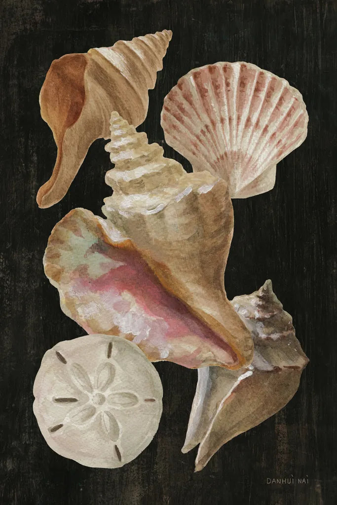 Nautical Shell Toss II by Danhui Nai. SKU 104796h. Archival Giclee Fine art print for wall decor.