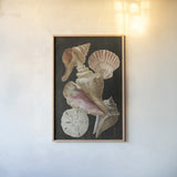 Nautical Shell Toss II by Danhui Nai. shown as a paper print in a natural frame. Available as a archival giclee rolled canvas, fine art paper, or poster print. SKU 104796h.