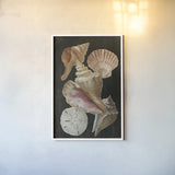 Nautical Shell Toss II by Danhui Nai. shown as a paper print in a white frame. Available as a archival giclee rolled canvas, fine art paper, or poster print. SKU 104796h.