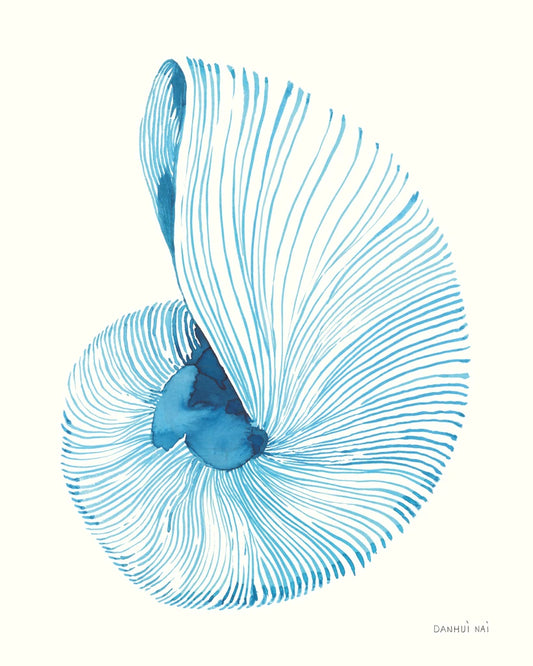 Nautilus in Blue II by Danhui Nai