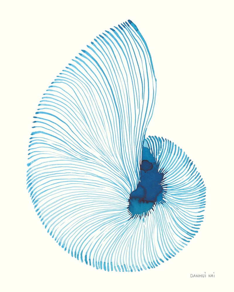 Nautilus in Blue III by Danhui Nai