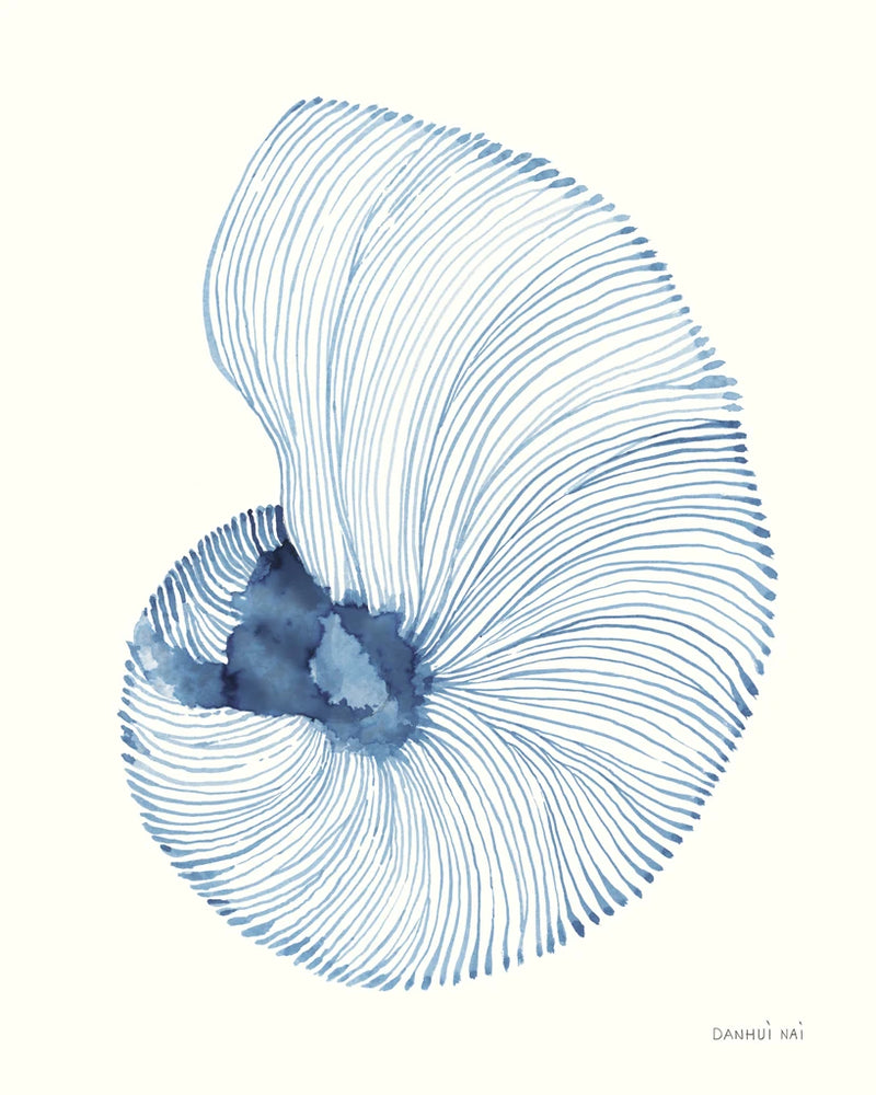 Nautilus in Blue V by Danhui Nai