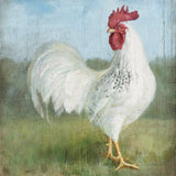 Noble Rooster I Vintage No Border by Danhui Nai. SKU 15646a. Archival Giclee Fine art print for wall decor.
