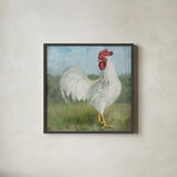 Noble Rooster I Vintage No Border by Danhui Nai. Shown in a sleek black glass frame for a contemporary gallery look. Available as an archival giclee rolled canvas, fine art paper, or poster print. SKU 15646a.