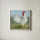 Noble Rooster I Vintage No Border by Danhui Nai. Shown in a crisp white glass frame for a clean and minimalist style. Available as an archival giclee rolled canvas, fine art paper, or poster print. SKU 15646a.