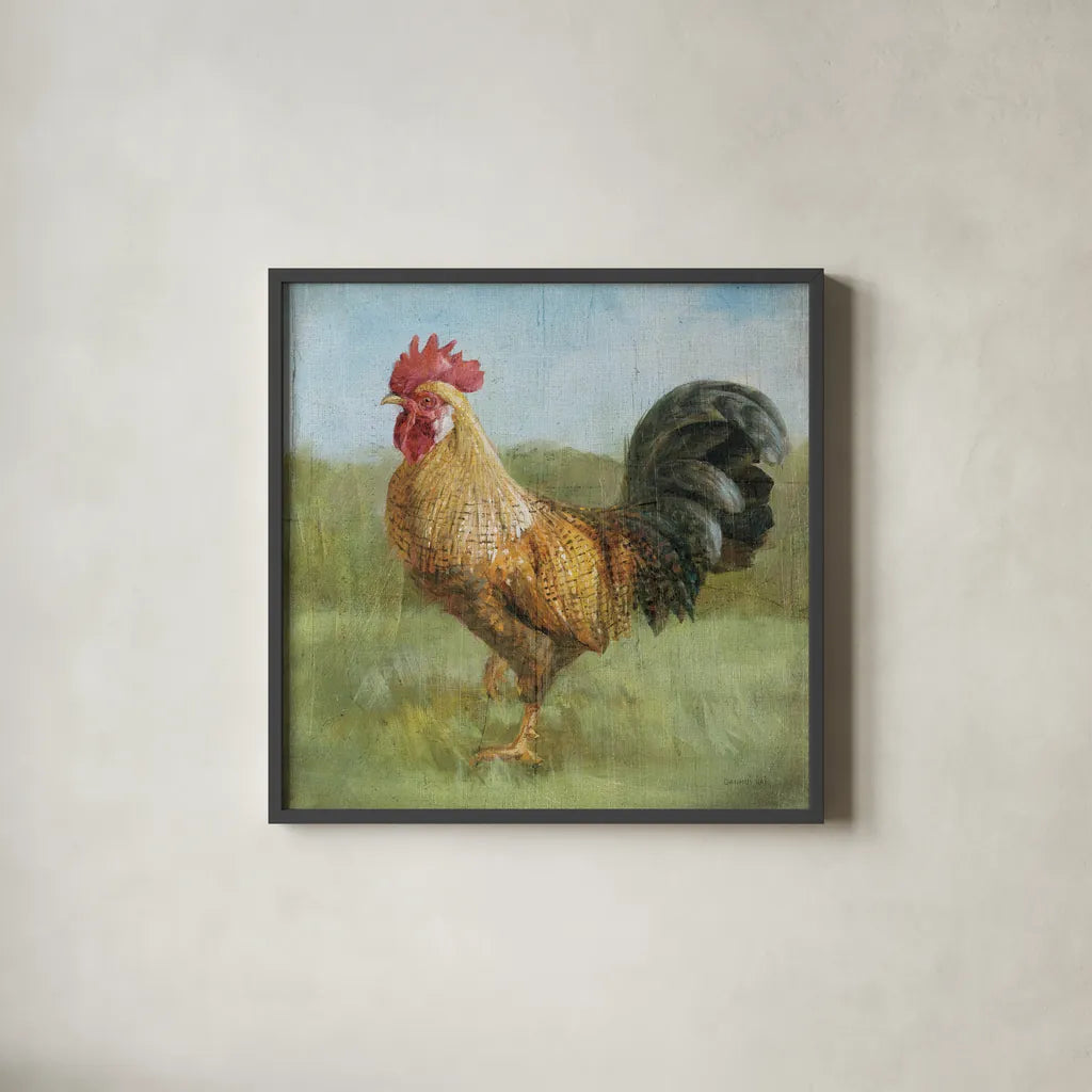 Noble Rooster II Vintage No Border by Danhui Nai. Shown in a sleek black glass frame for a contemporary gallery look. Available as an archival giclee rolled canvas, fine art paper, or poster print. SKU 15647a.