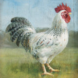 Noble Rooster IV Vintage No Border by Danhui Nai. SKU 15649a. Archival Giclee Fine art print for wall decor.
