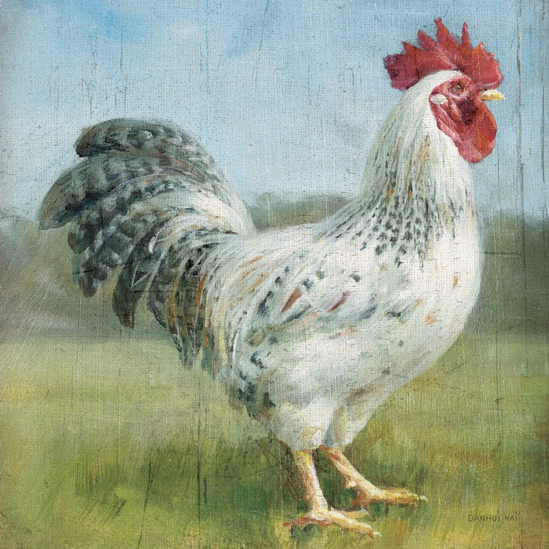 Noble Rooster IV Vintage No Border by Danhui Nai. SKU 15649a. Archival Giclee Fine art print for wall decor.