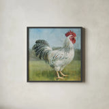 Noble Rooster IV Vintage No Border by Danhui Nai. Shown in a sleek black glass frame for a contemporary gallery look. Available as an archival giclee rolled canvas, fine art paper, or poster print. SKU 15649a.