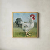 Noble Rooster IV Vintage No Border by Danhui Nai. Shown in a natural wood glass frame for a timeless modern aesthetic. Available as an archival giclee rolled canvas, fine art paper, or poster print. SKU 15649a.