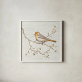 Northern Oriole Vintage by Danhui Nai. Shown in a crisp white glass frame for a clean and minimalist style. Available as an archival giclee rolled canvas, fine art paper, or poster print. SKU 28600a.