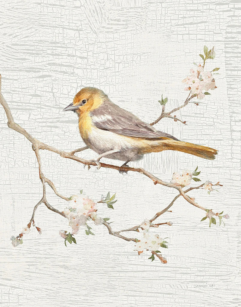 Northern Oriole Vintage v2 by Danhui Nai