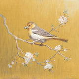 Northern Oriole on Gold by Danhui Nai. SKU 24628a. Archival Giclee Fine art print for wall decor.
