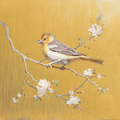 Northern Oriole on Gold by Danhui Nai. SKU 24628a. Archival Giclee Fine art print for wall decor.