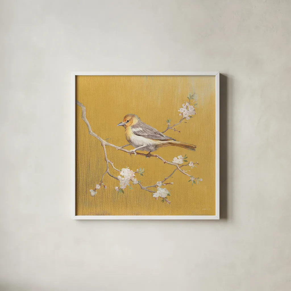Northern Oriole on Gold by Danhui Nai. Shown in a crisp white glass frame for a clean and minimalist style. Available as an archival giclee rolled canvas, fine art paper, or poster print. SKU 24628a.