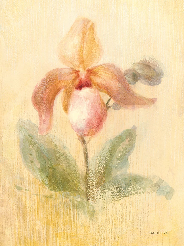 November Orchid by Danhui Nai