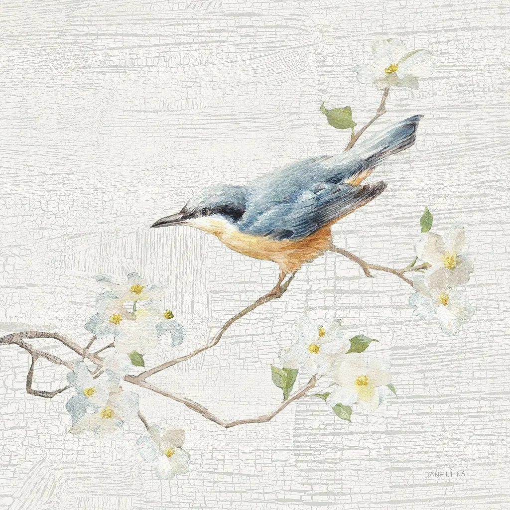 Nuthatch Vintage by Danhui Nai. SKU 28601a. Archival Giclee Fine art print for wall decor.