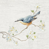 Nuthatch Vintage by Danhui Nai. SKU 28601a. Archival Giclee Fine art print for wall decor.