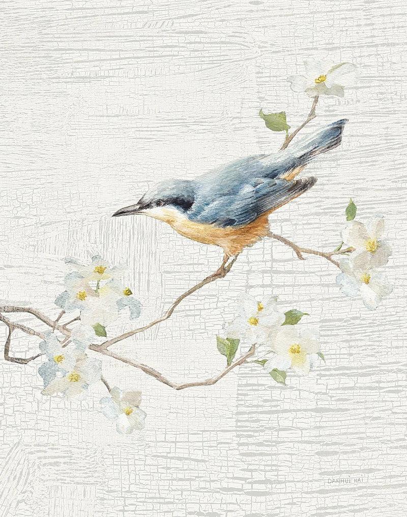 Nuthatch Vintage v2 by Danhui Nai