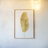 Palms of the Tropics III Gold by Danhui Nai. shown as a paper print in a natural frame. Available as a archival giclee rolled canvas, fine art paper, or poster print. SKU 65138h.