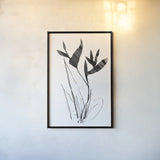 Paradise I by Danhui Nai. shown as a paper print in a black flame. Available as a archival giclee rolled canvas, fine art paper, or poster print. SKU 85193h.