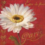 Paris Blossom I by Danhui Nai. SKU 1401a. Archival Giclee Fine art print for wall decor.