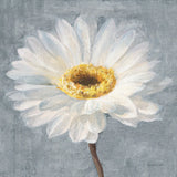 Paris Blossom I Gray by Danhui Nai. SKU 88146a. Archival Giclee Fine art print for wall decor.