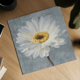 Paris Blossom I Gray by Danhui Nai. Shown as a detailed flat fine art print, highlighting archival giclee quality. Available as an archival giclee rolled canvas, fine art paper, or poster print. SKU 88146a.