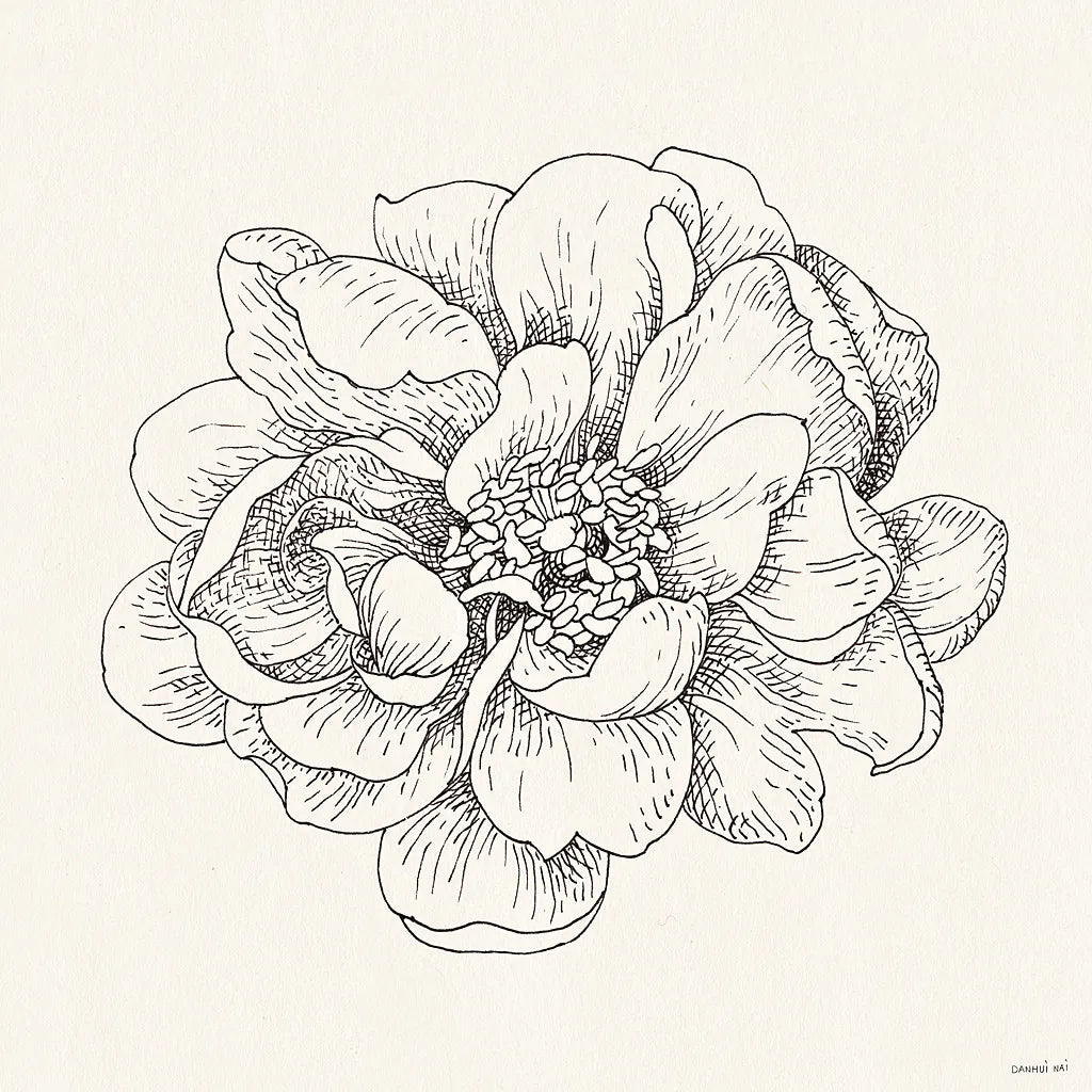 Pen and Ink Florals IV by Danhui Nai. SKU 22766a. Archival Giclee Fine art print for wall decor.
