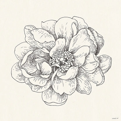 Pen and Ink Florals IV by Danhui Nai. SKU 22766a. Archival Giclee Fine art print for wall decor.