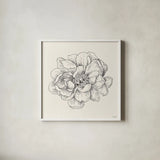Pen and Ink Florals IV by Danhui Nai. Shown in a crisp white glass frame for a clean and minimalist style. Available as an archival giclee rolled canvas, fine art paper, or poster print. SKU 22766a.