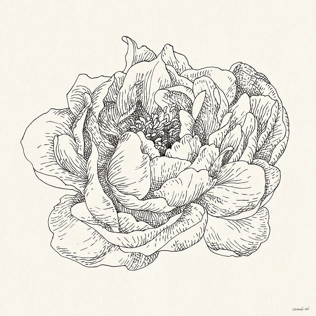 Pen and Ink Florals V by Danhui Nai. SKU 22767a. Archival Giclee Fine art print for wall decor.
