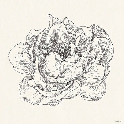 Pen and Ink Florals V by Danhui Nai. SKU 22767a. Archival Giclee Fine art print for wall decor.