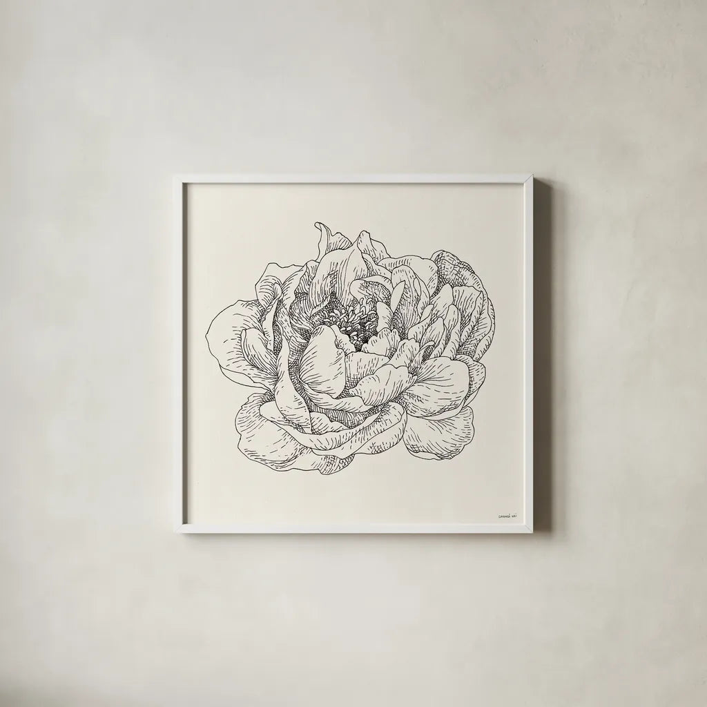 Pen and Ink Florals V by Danhui Nai. Shown in a crisp white glass frame for a clean and minimalist style. Available as an archival giclee rolled canvas, fine art paper, or poster print. SKU 22767a.