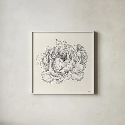 Pen and Ink Florals V by Danhui Nai. Shown in a crisp white glass frame for a clean and minimalist style. Available as an archival giclee rolled canvas, fine art paper, or poster print. SKU 22767a.