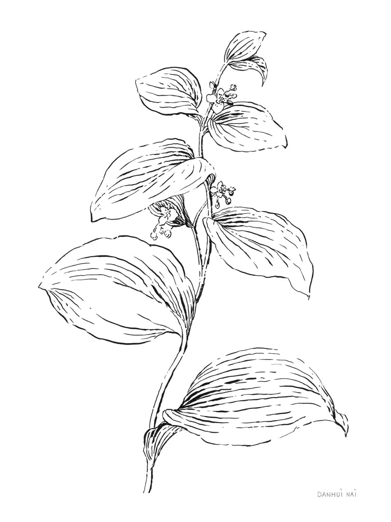 Plant Lines I by Danhui Nai