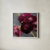 Plum Ranculus by Danhui Nai. Shown in a crisp white glass frame for a clean and minimalist style. Available as an archival giclee rolled canvas, fine art paper, or poster print. SKU 96458a.