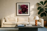 Plum Ranculus by Danhui Nai. Displayed in a glass frame with matte in a clean modern living room. Available as an archival giclee rolled canvas, fine art paper, or poster print. SKU 96458a.