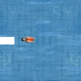 Pool Fun II by Danhui Nai. SKU 102684a. Archival Giclee Fine art print for wall decor.
