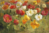 Poppy Field Crop by Danhui Nai. SKU 6765i. Archival Giclee Fine art print for wall decor.