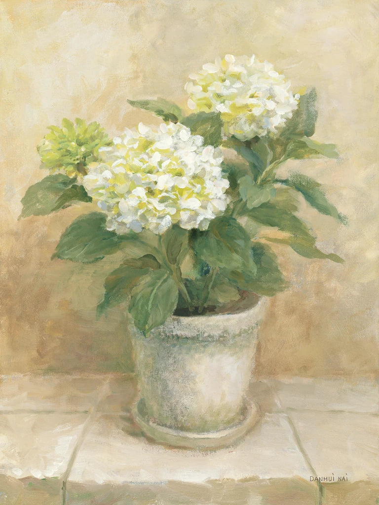 Pot of White Hydrangea by Danhui Nai