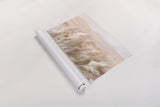 Prairie Grasses by Danhui Nai. shown as a rolled paper print. Available as archival giclee rolled canvas, fine art paper, or poster print. SKU 70642i.