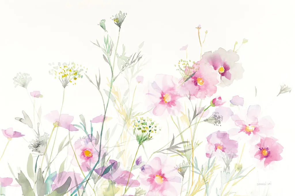 Queen Annes Lace and Cosmos on White by Danhui Nai. SKU 35409i. Archival Giclee Fine art print for wall decor.