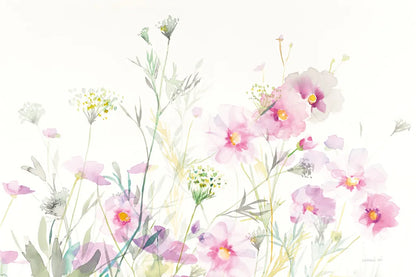 Queen Annes Lace and Cosmos on White by Danhui Nai. SKU 35409i. Archival Giclee Fine art print for wall decor.