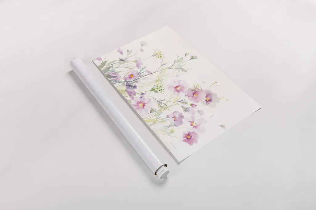 Queen Annes Lace and Cosmos on White by Danhui Nai. shown as a rolled paper print. Available as archival giclee rolled canvas, fine art paper, or poster print. SKU 35409i.